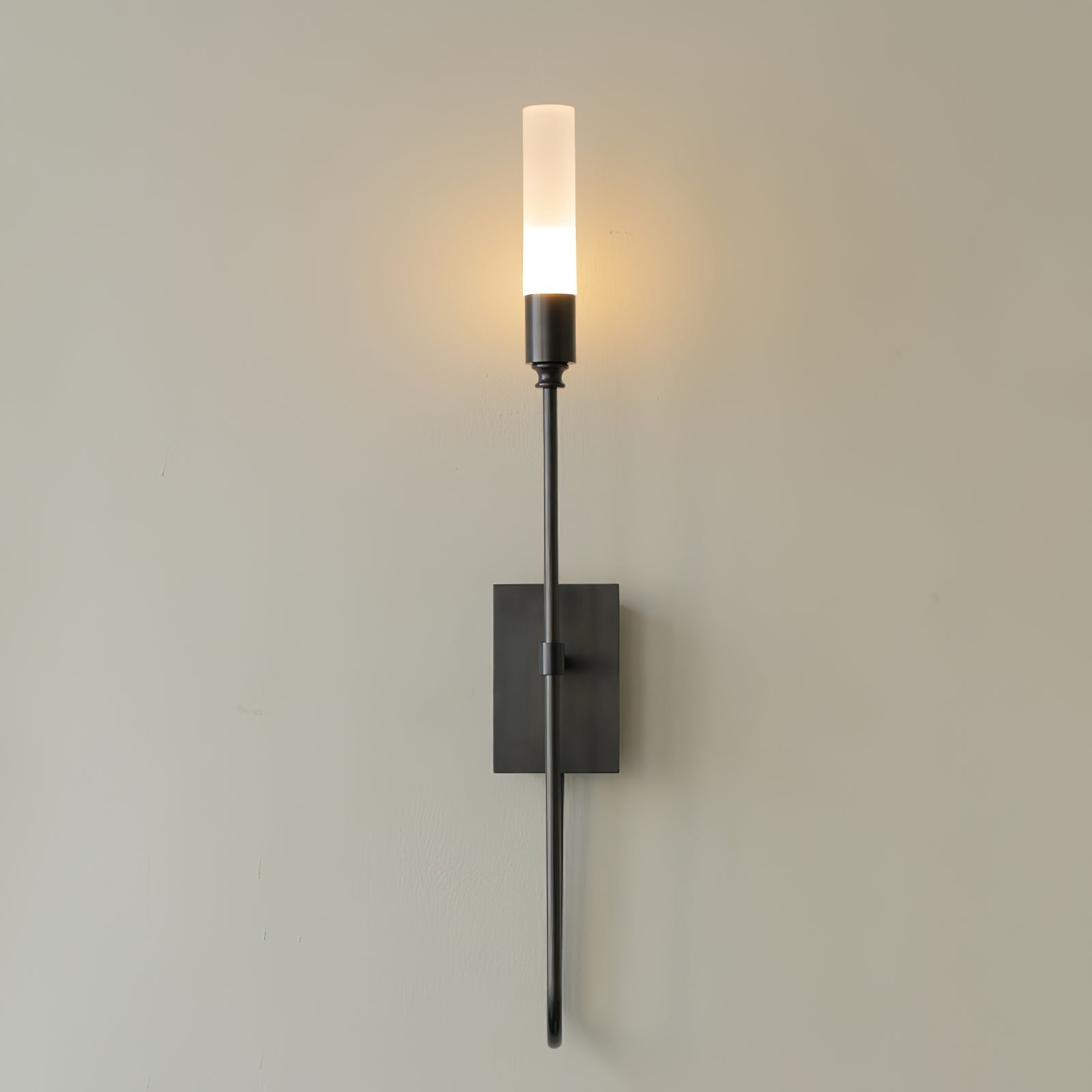 Metal Acrylic Dual Light Sconce