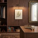 Modern Brass Picture Light in Walk-in Closet Interior