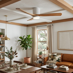 Ceiling Fan Light