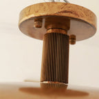 Orbital Dome Ceiling Light