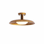 Orbital Dome Ceiling Light