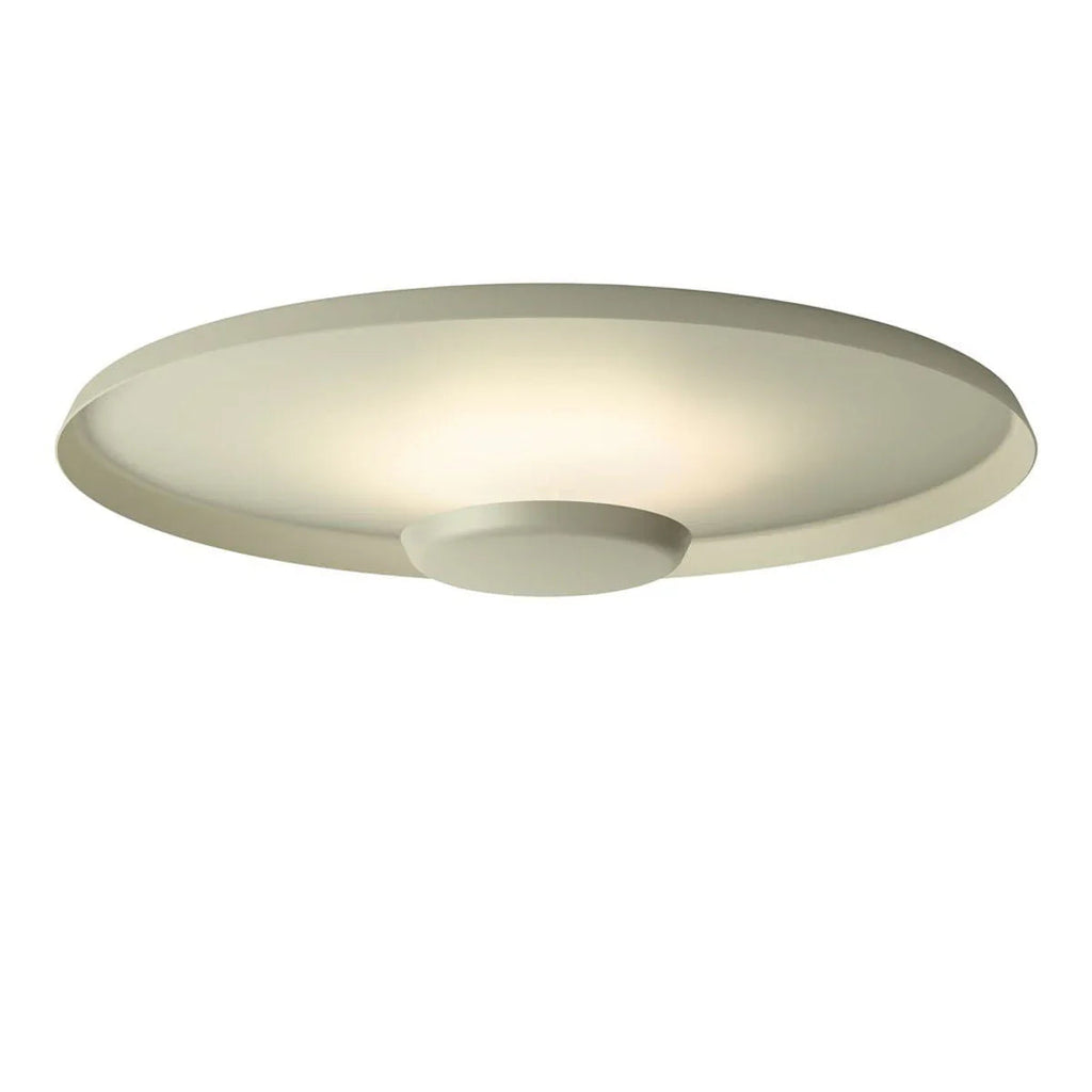 Overfly Ceiling Light