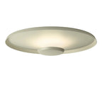 Overfly Ceiling Light