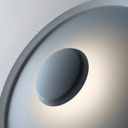 Overfly Ceiling Light