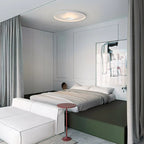 Overfly Ceiling Light