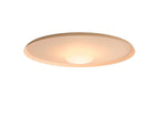 Overfly Ceiling Light