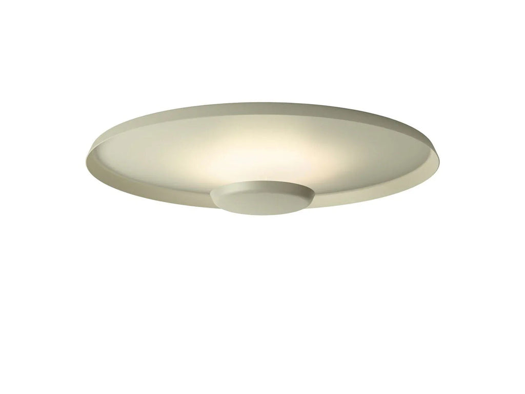 Overfly Ceiling Light
