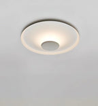 Overfly Ceiling Light