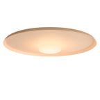 Overfly Ceiling Light