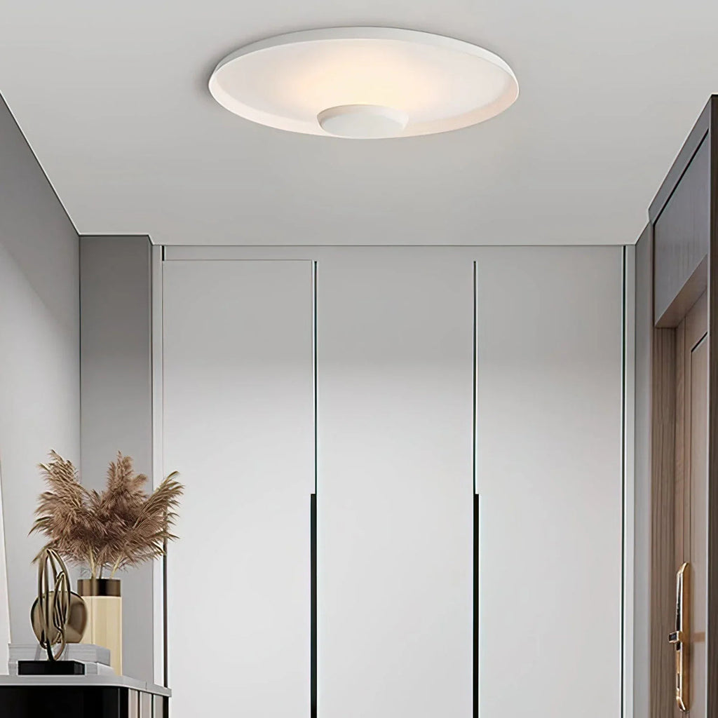Overfly Ceiling Light