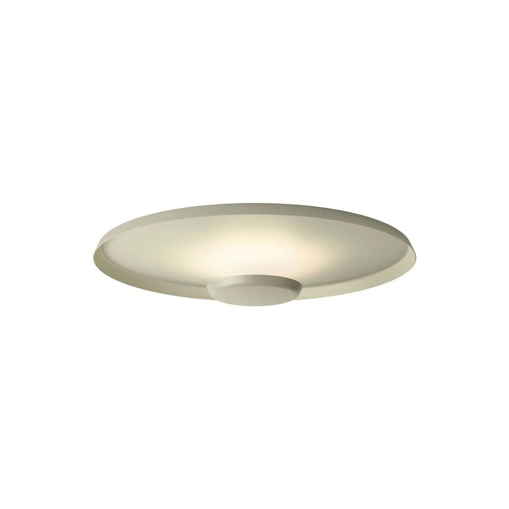 Overfly Ceiling Light