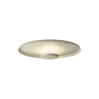 Overfly Ceiling Light