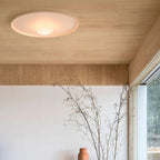 Overfly Ceiling Light