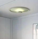 Overfly Ceiling Light
