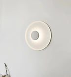 Overfly Ceiling Light