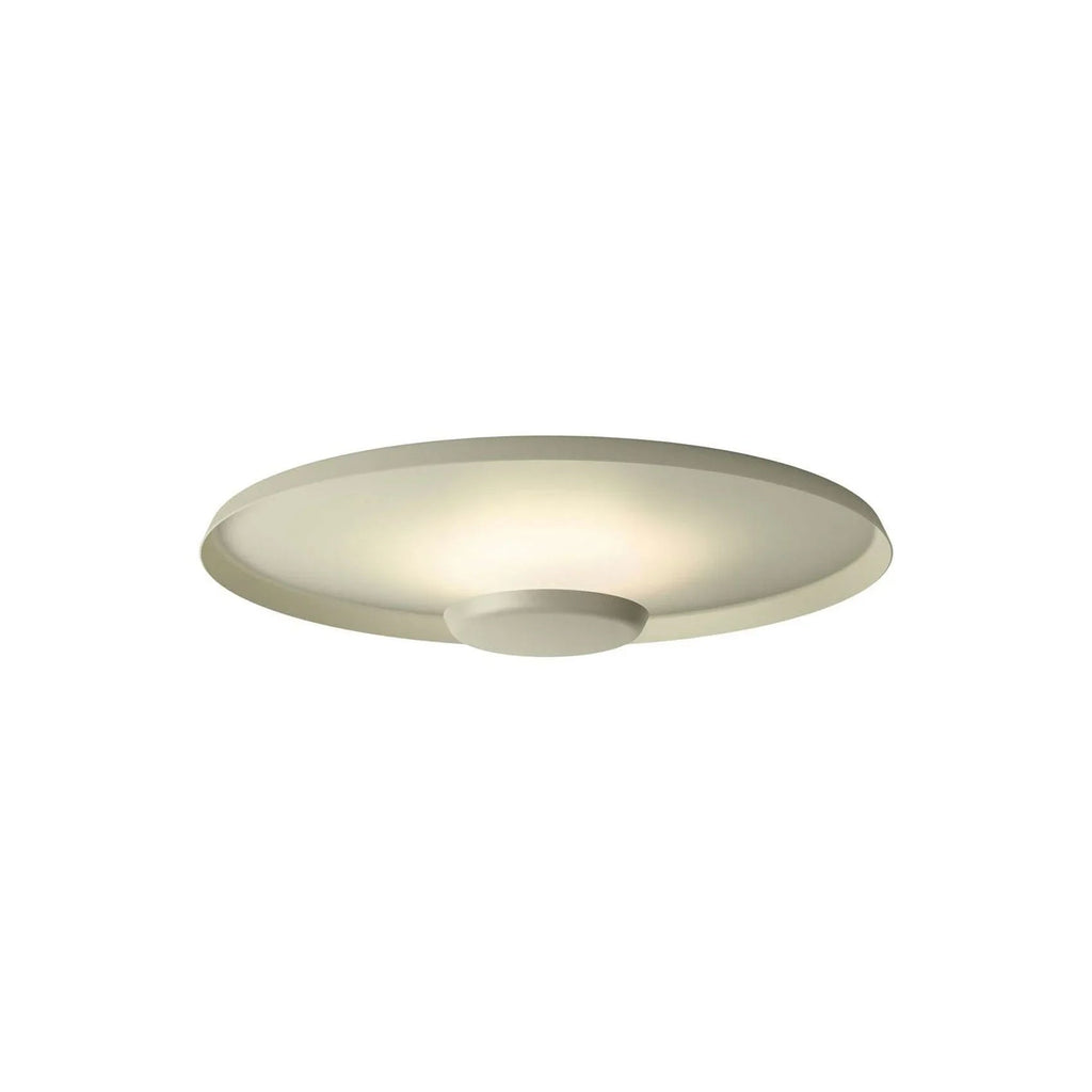 Overfly Ceiling Light