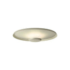 Overfly Ceiling Light