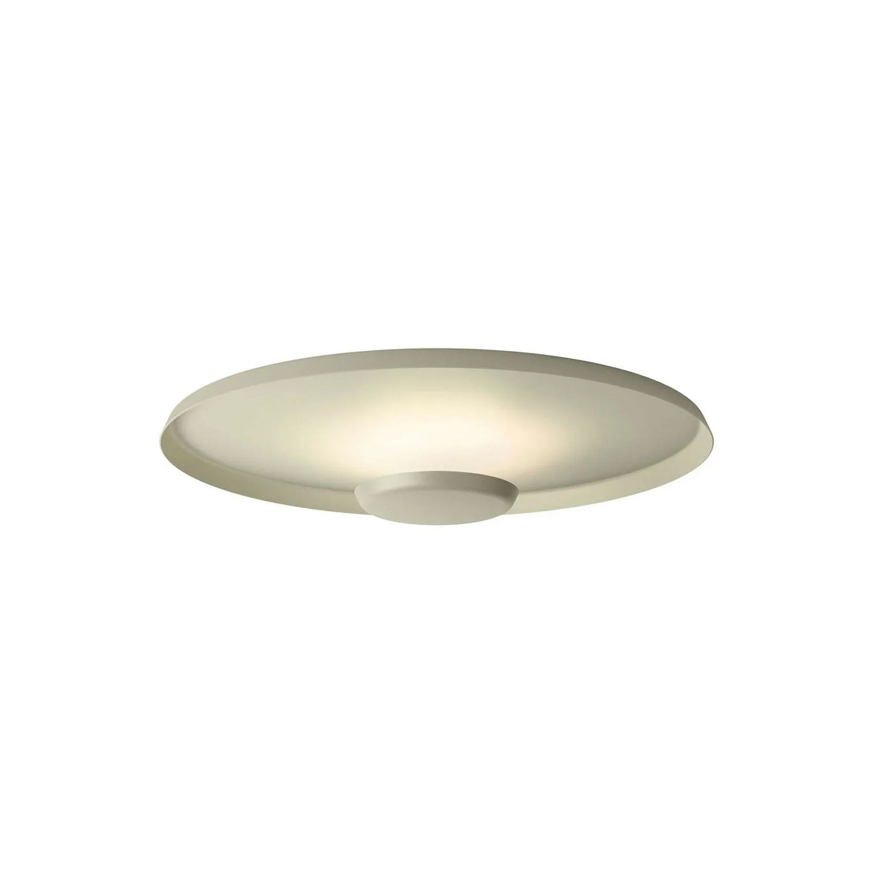 Overfly Ceiling Light