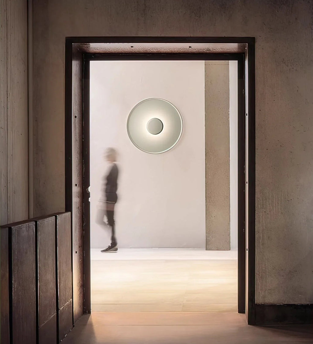 Overfly Ceiling Light