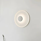 Overfly Ceiling Light