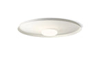 Overfly Ceiling Light