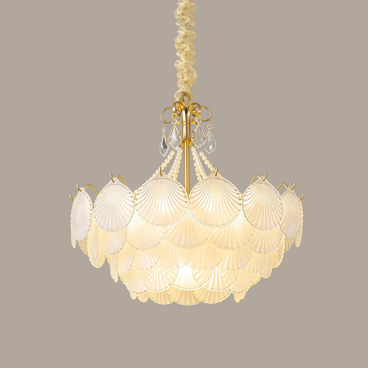 Illuminated Modern Brass Shell Art Glass Chandelier Studio Shot on Pure White Background