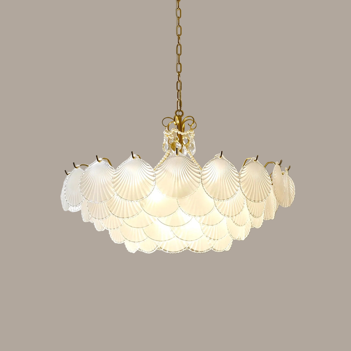 Illuminated Modern Shell Art Glass Chandelier Studio Display