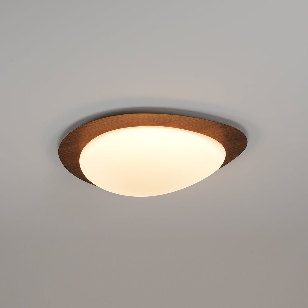 Pebble Metal Plastic Flush Mount