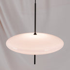 Polymer Disc Pendant Light