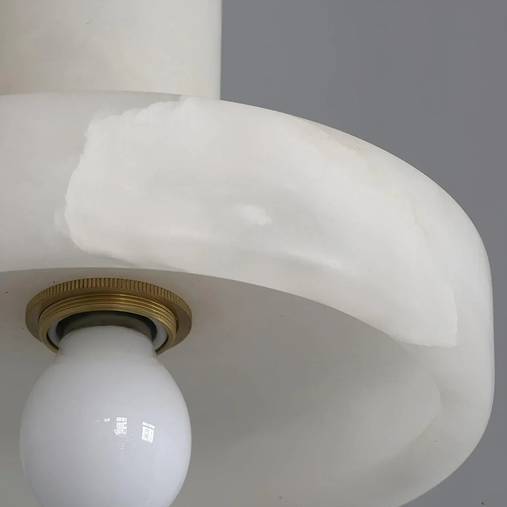 Detail View of Natural Alabaster Stone Texture and Internal Bulb