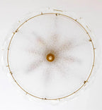 Bottom Up View of Crystal Floral Art Glass Ceiling Light and Internal Bulbs