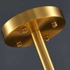 Close Up View of Brass Canopy and Mounting Hardware