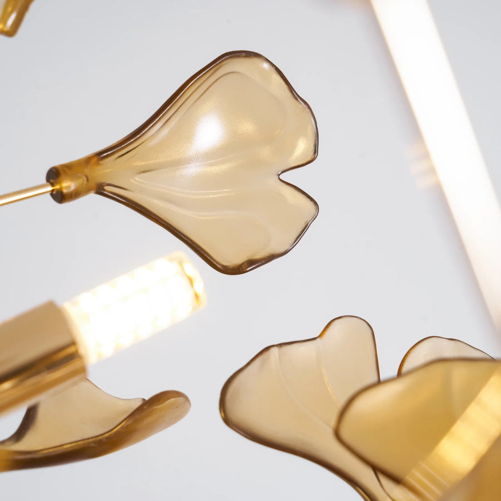 Close Up View of Glowing Amber Ginkgo Leaves and Internal Bulbs