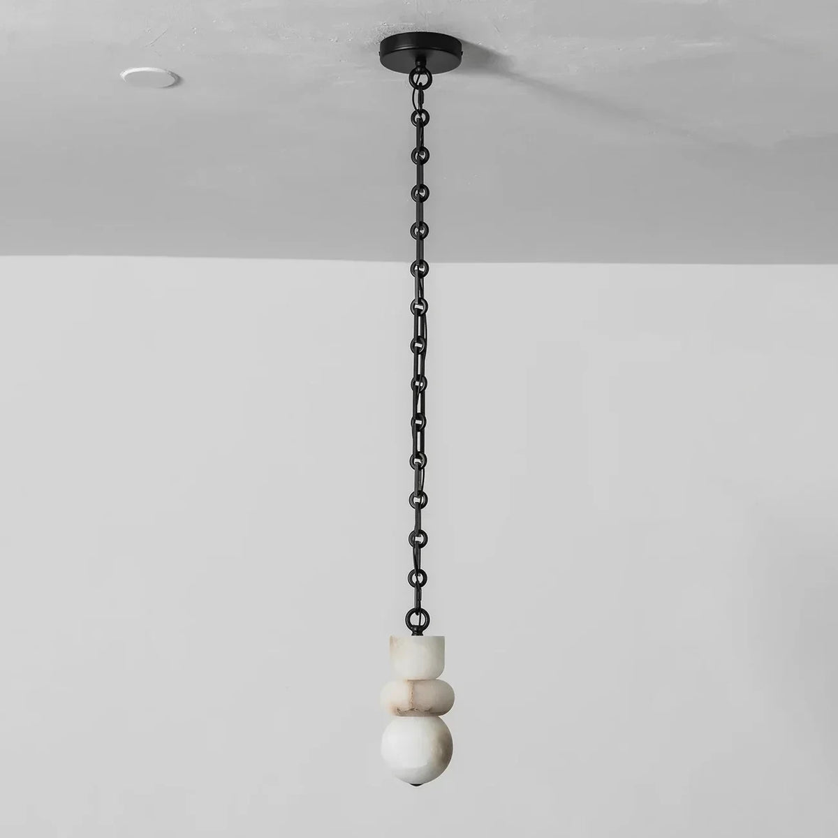 Studio Display of Black Canopy and Ceiling Hooks for Spider Chandelier