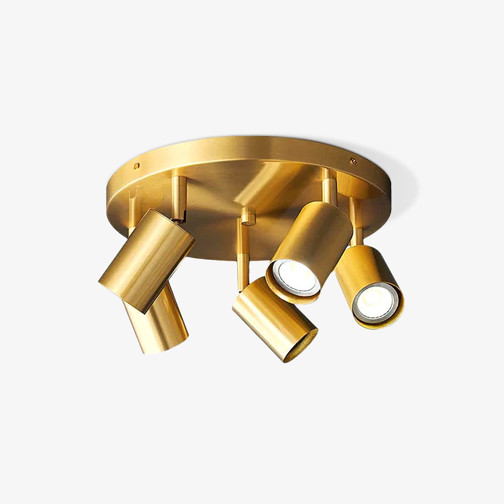 Vance Brass  Directional Flush Mount