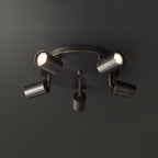 Vance Brass  Directional Flush Mount