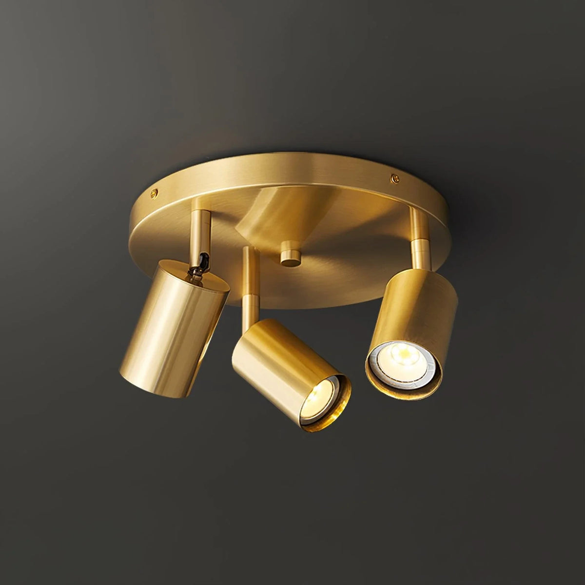 Illuminated Brass Spotlight Flush Mount Light Studio Display