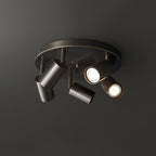 Vance Brass  Directional Flush Mount