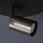 Vance Brass  Directional Flush Mount