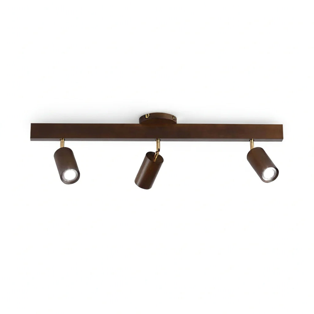 Linear Multi-Spot Ceiling Light