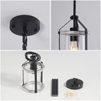 Whitewashed Cage Glass Pendant Light
