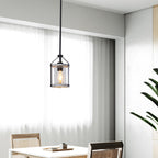 Whitewashed Cage Glass Pendant Light