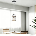 Whitewashed Cage Glass Pendant Light